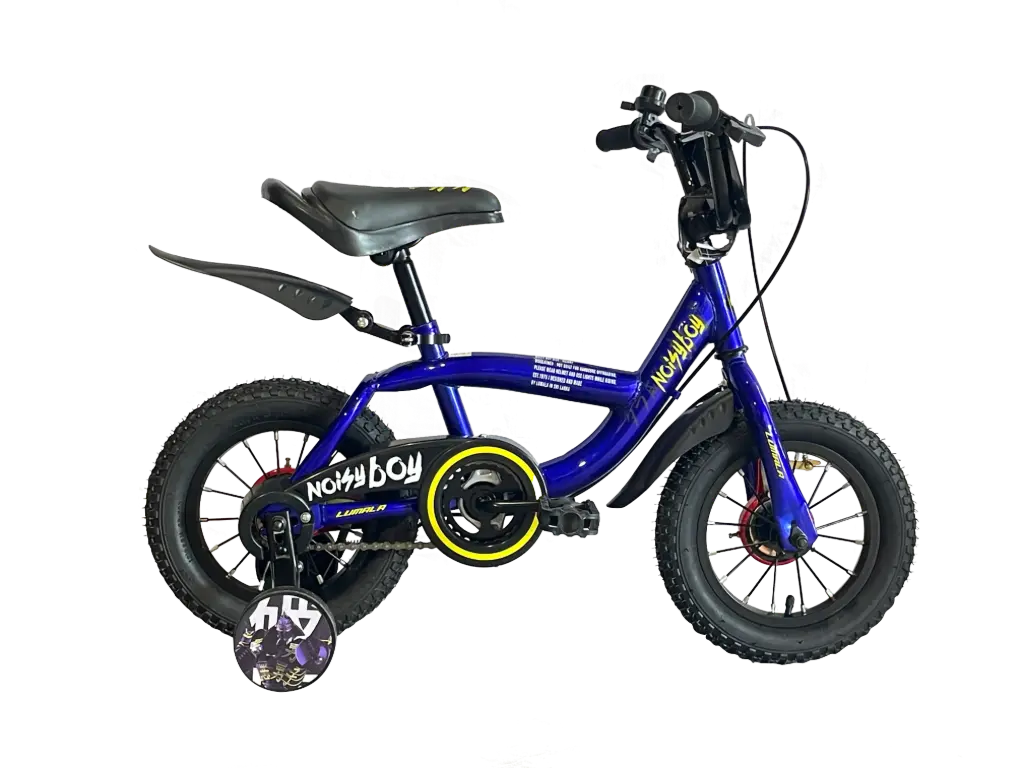 Noisy Boy 12" 2025