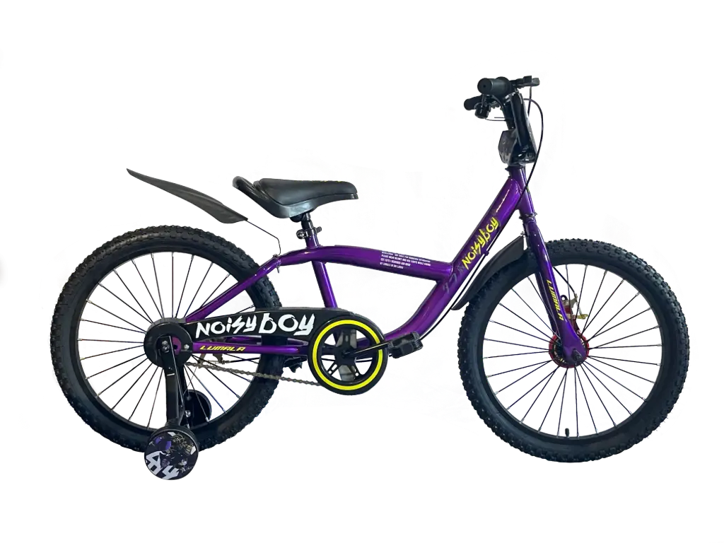 Noisy Boy 16'' 2025