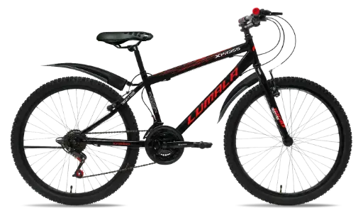 Xpress 24''
