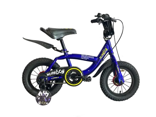 Noisy Boy 12" 2025