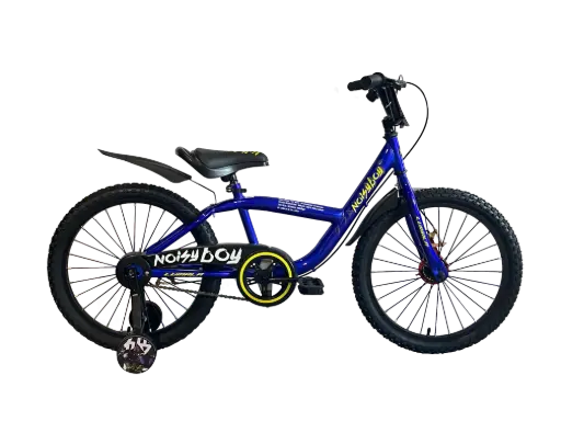 Noisy Boy 20" 2025 
